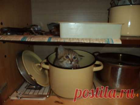 ФОТОМАСТЕРСКАЯ ПРИРОДЫ
светлана кутас(вельмякина)