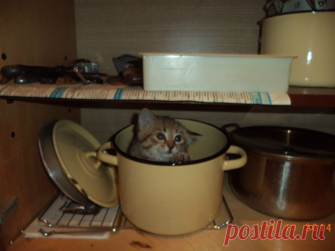 ФОТОМАСТЕРСКАЯ ПРИРОДЫ
светлана кутас(вельмякина)