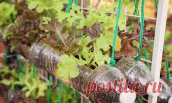 21 идея использования пластиковых бутылок на даче. Поделки из пластиковых бутылок