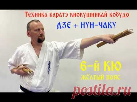 Дзё + Нун-Чаку техника на 6-й Кю