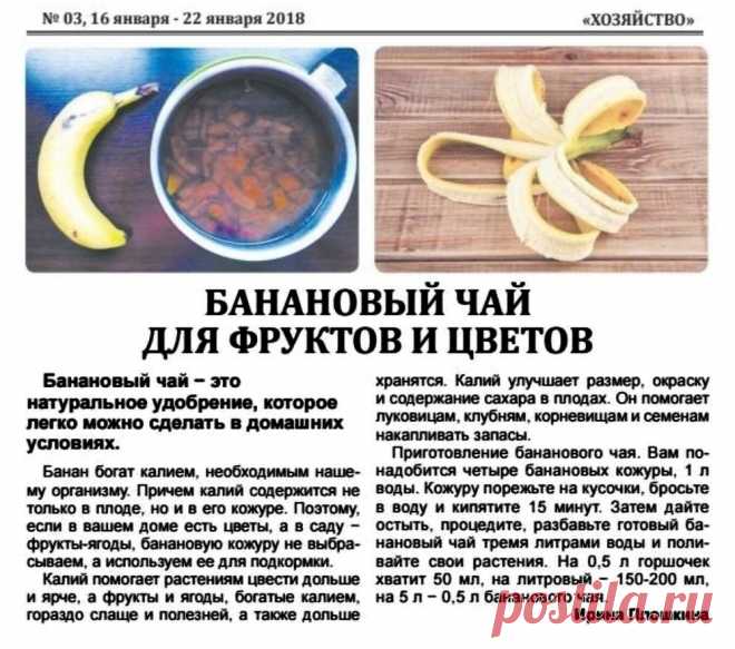 Банановый чай для фруктов и цветов
