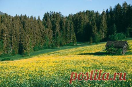 Природа против цивилизации: топ-15 впечатляющих фото заброшенных зданий и мест