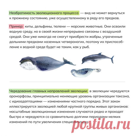 daiX2Umfctc.jpg (1280×1280)