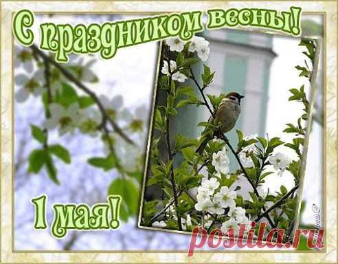 Одноклассники