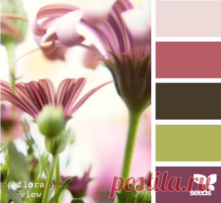 Цветы, деревья — источник вдохновения! | BepHuK собирает друзей