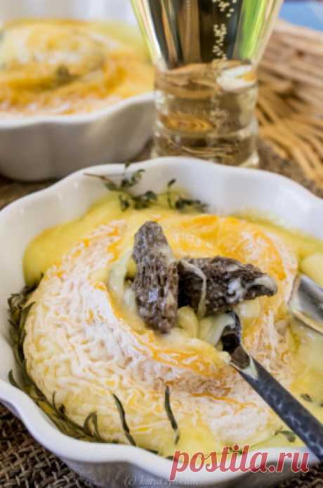 Лангр со сморчками и шампанским