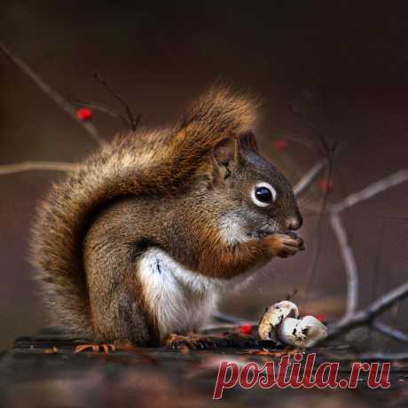 Something good. by Andre Villeneuve / 500px