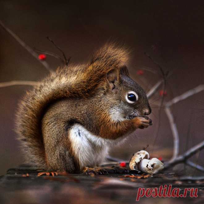 Something good. by Andre Villeneuve / 500px