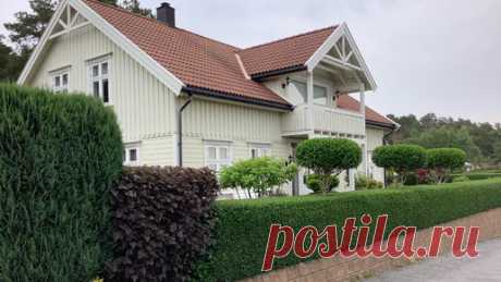 Приводим в порядок зелёные стены в саду. В эти дни я решительно взялась за ножницы. Очень сильно обросла живая изгородь в саду. Дождавшись подходящей погоды, приступила к делу. Этим летом…