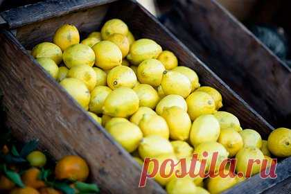 Россиянам назвали лучшие продукты для профилактики болезней почек