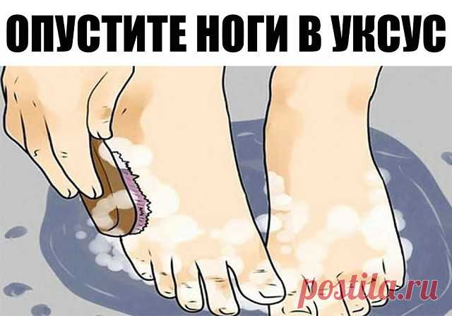 Использование яблочного уксуса