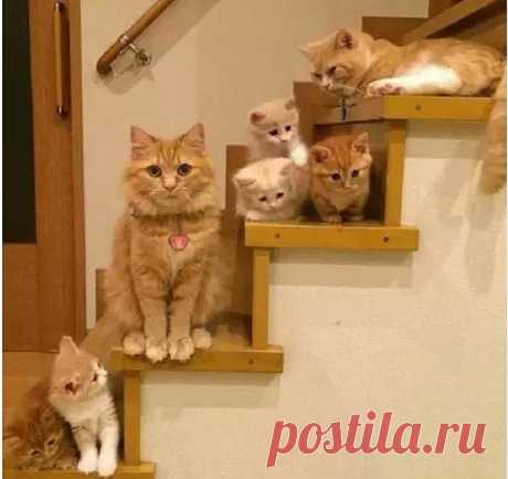 Ты на работу? Удачи тебе!