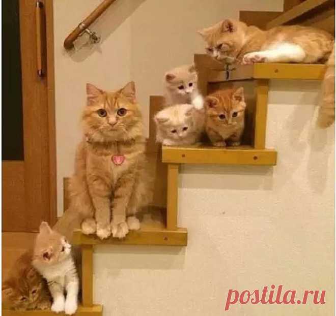 Ты на работу? Удачи тебе!