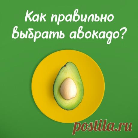 Авокадо — плод, который сжигает жиры, расщепляет избыток холестерина и омолаживает тело
Звучит заманчиво? Разбираемся, как выбрать самые спелые и сочные плоды
Скидки и акции на авокадо ищи здесь: https://bit.ly/2TylG7N