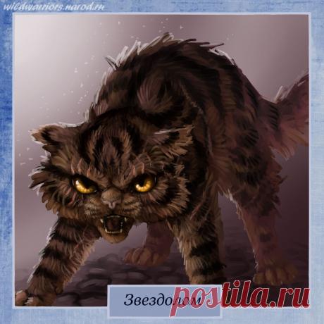 Brokenstar. Warriors by Romashik-arts on DeviantArt