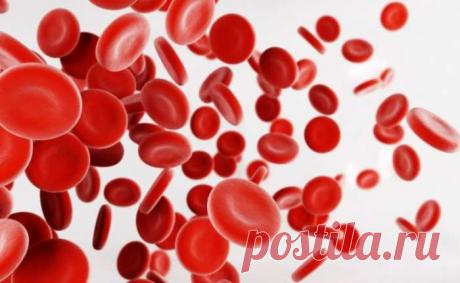 Народные средства, которые помогут повысить гемоглобин в домашних условиях — Женская страничка