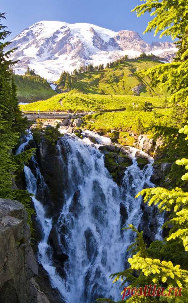Найдено на сайте pacificnorthwestguide.com.