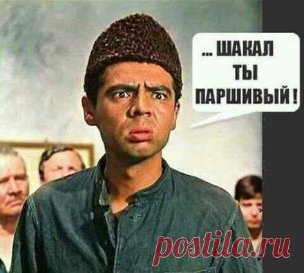 «Было много желающих»: россияне поставили на место американского генерала за слова о счетах РФ