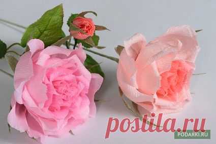 Советы от Подарков.ру | Роза из бумаги с конфетой