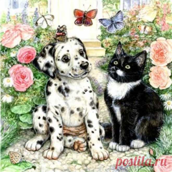 Собаки художника Debbie Cook (Дебби Кук)