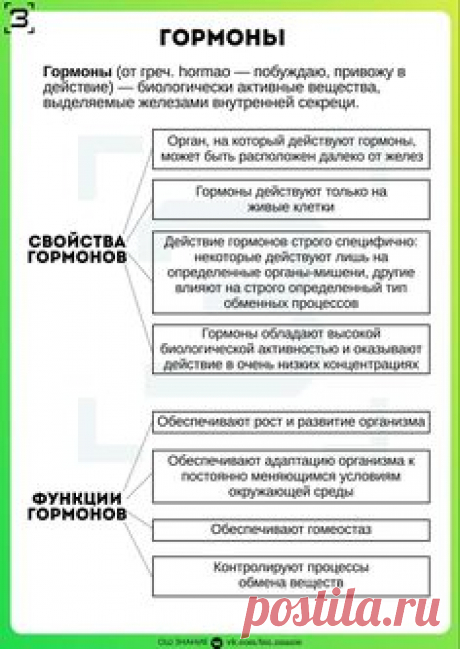 ГОРМОНЫ