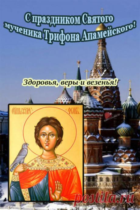 Картинки на Трифонов день: открытки с надписями на 14 февраля 2024