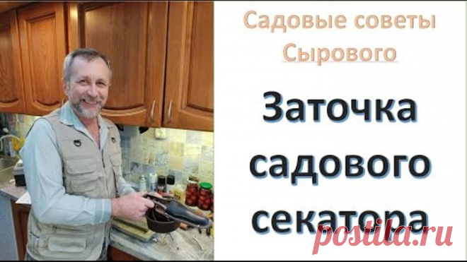 Заточка садового иснтрумента. Заточка секаторов. Садовые советы Сырового А.А.