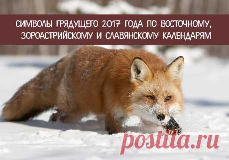 Символы грядущего 2017 года по Восточному, зороастрийскому и славянскому календарям 
Каждый год имеет своего покровителя – животное. Как правило, почести и внимание чаще отдают символам Восточного гороскопа (Китайского), который состоит из 12 циклов. Однако на судьбу человека оказыва…