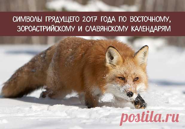 Символы грядущего 2017 года по Восточному, зороастрийскому и славянскому календарям 
Каждый год имеет своего покровителя – животное. Как правило, почести и внимание чаще отдают символам Восточного гороскопа (Китайского), который состоит из 12 циклов. Однако на судьбу человека оказыва…