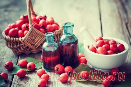 Заготавливаем на зиму боярышник