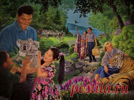 Фото Без названия. Альбом Фон на обложку - 31 фото. Фотографии Альбиция !!!.