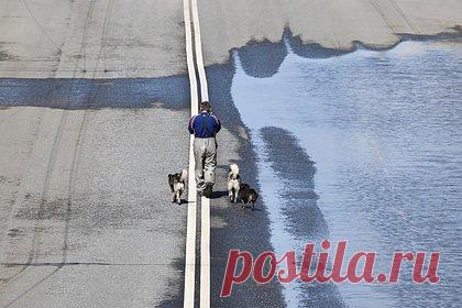 Паводок размыл дорогу в российском регионе