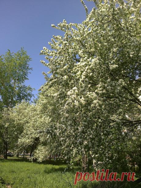 весеннее настроение