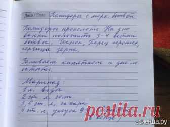 Огурцы по-болгарски \\\\\\\\\ 2 РЕЦЕПТА ЗАГОТОВОК НА ЗИМУ.: Дневник пользователя Светлана Клер