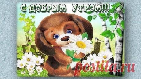 Доброе утро!  Красивое пожелание доброго утра!