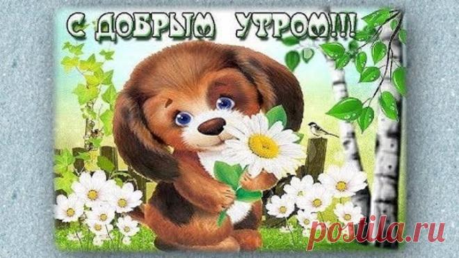 Доброе утро!  Красивое пожелание доброго утра!