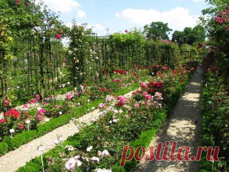 Старейший в Европе розарий в Лей-ле-Роз, Франция | Розы для Леди