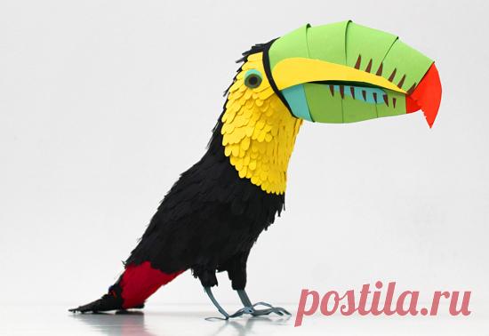 Конструирование птицы из цветной бумаги
