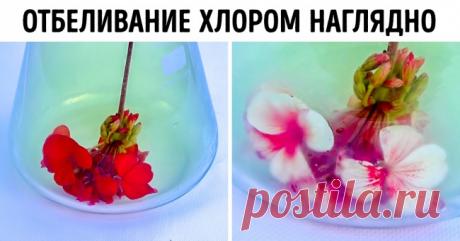 20 фактов, которые скрываются за таблицей Менделеева. Теперь вы не скажете, что химия — скучная наука . Милая Я