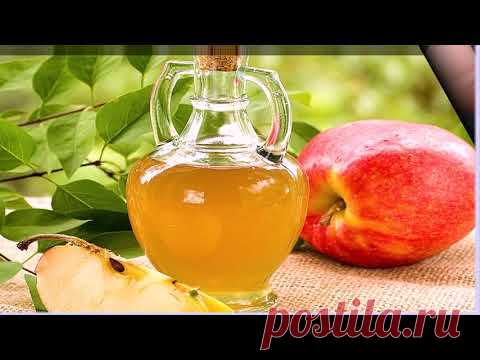 Как избавиться от тли на укропе способы борьбы и профилактика