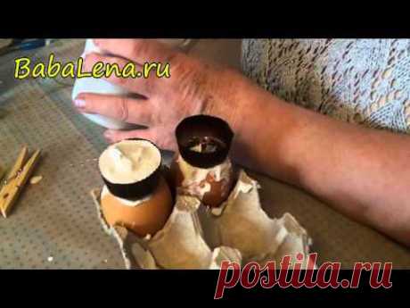 гипсовая отливка яиц.