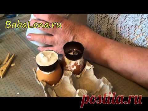 гипсовая отливка яиц.