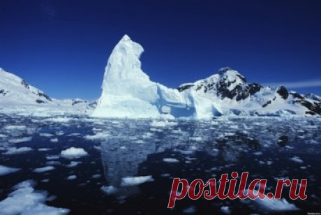 alyaska.jpg (370×248)