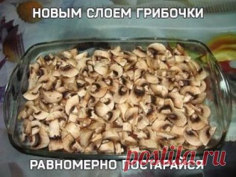 Шикарная куриная запеканка с грибочками под сырным соусом
Тебе нужно:
куриное филе 500 гр.
помидоры 2 шт.
твердый сыр 150 гр.
сметана 15-20% 200 гр.
шампиньоны 300 гр.