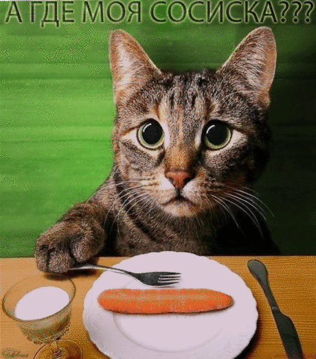 А где моя сосиска??? - анимационные картинки и gif открытки