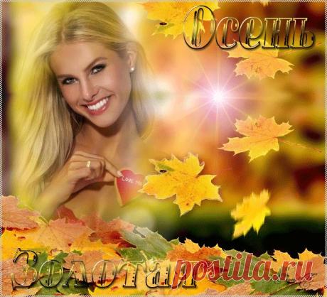 Яндекс.Фотки