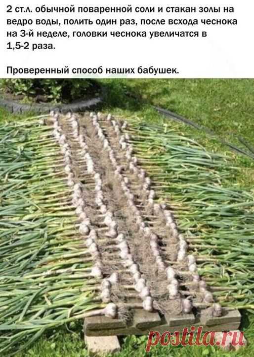 (1) Facebook