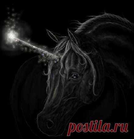 Фото Единорог Фото Единорог - изображение или картинка огромной коллекции