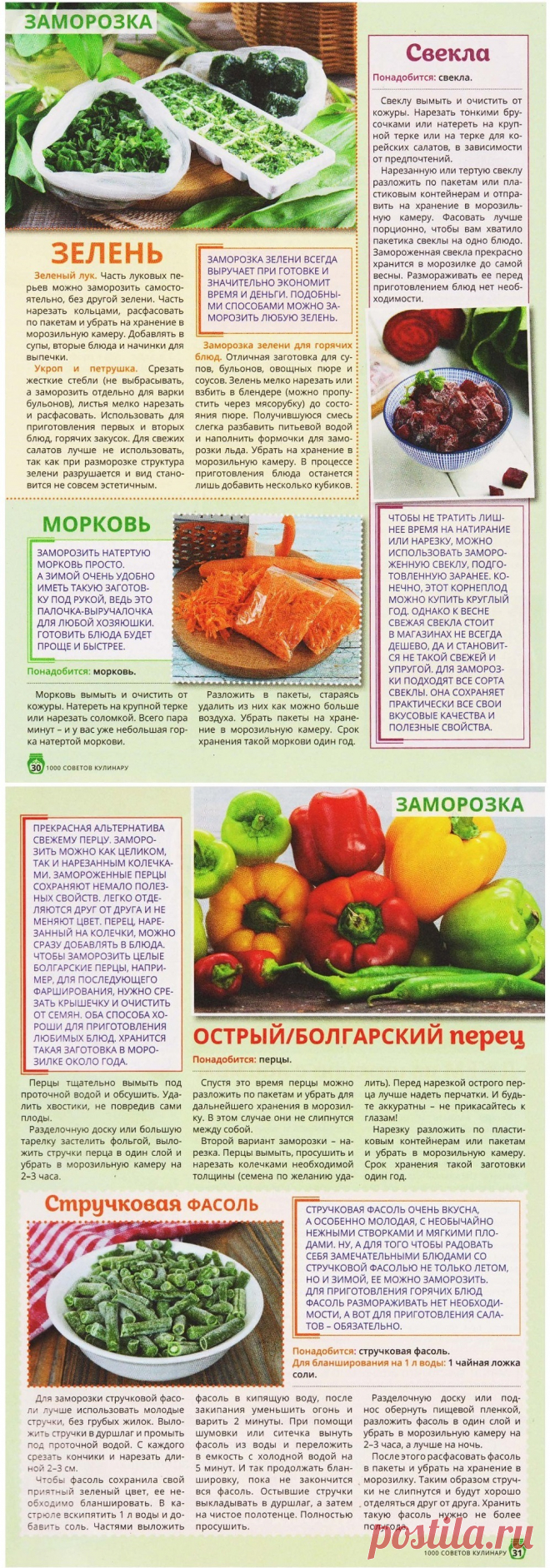 Заморозка зелени и овощей