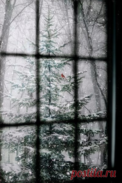 a quieter storm